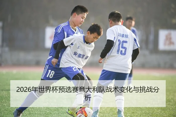 2026年世界杯预选赛意大利队战术变化与挑战分析