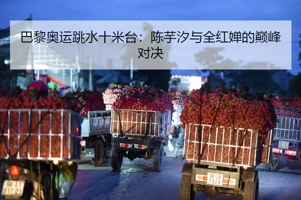巴黎奥运跳水十米台：陈芋汐与全红婵的巅峰对决