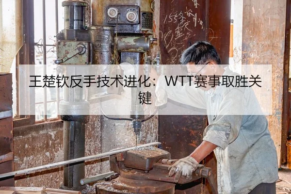 王楚钦反手技术进化：WTT赛事取胜关键